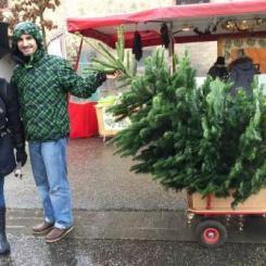 Bretten Wochenmarkt - Weihnachtsbaumverkauf 